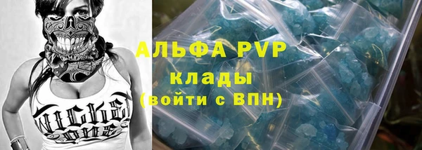 мяу мяу мука Белокуриха